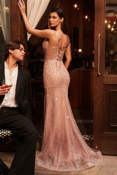 Dress CC8801