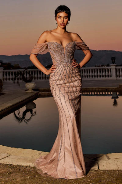 Dress CC477