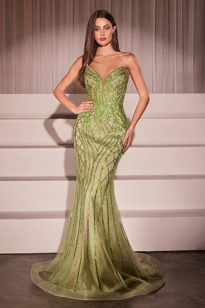 Dress CC6018