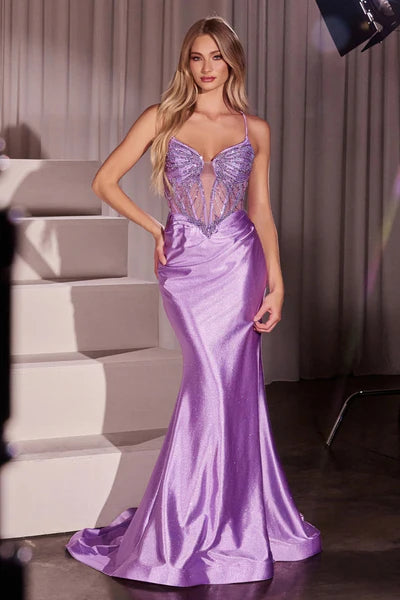 Dress CC8879