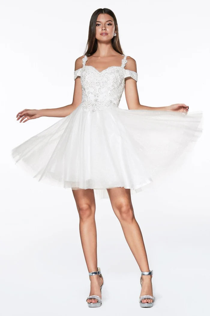 Dress CD0132