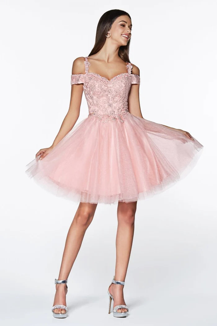 Dress CD0132