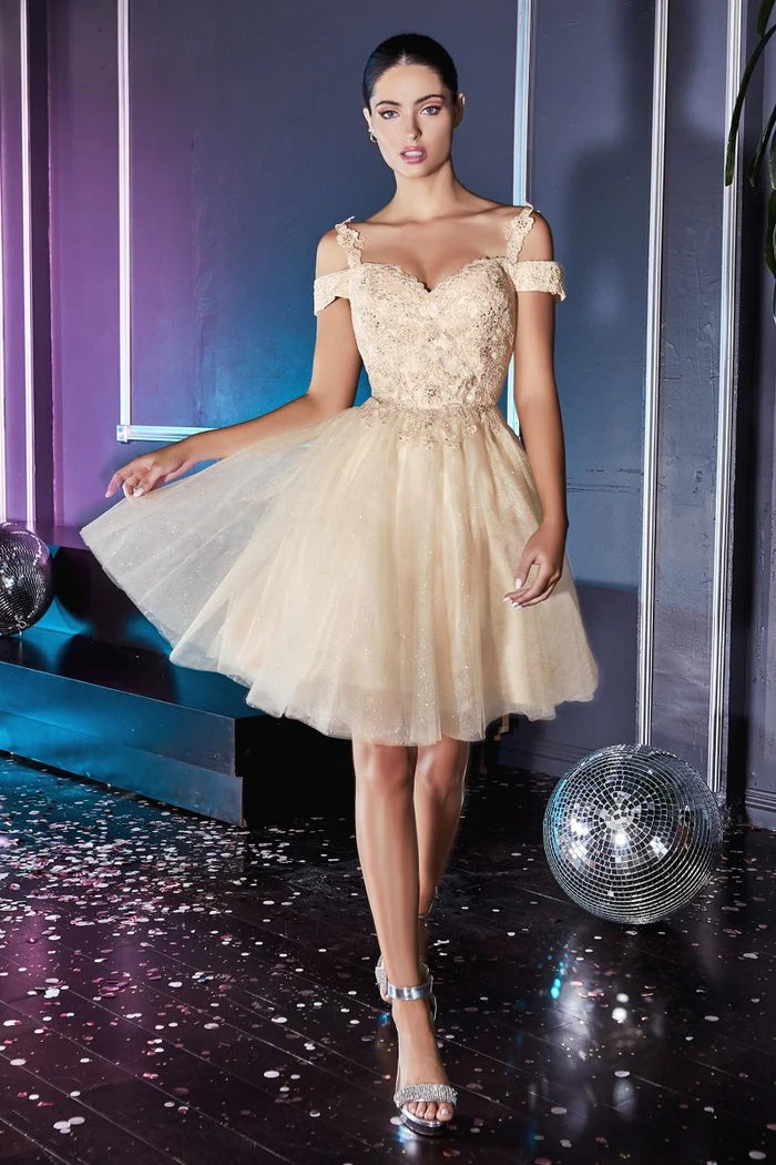 Dress CD0132