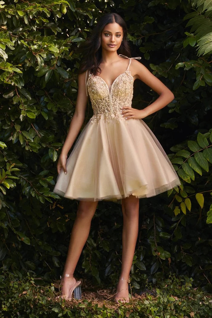Dress CD0188