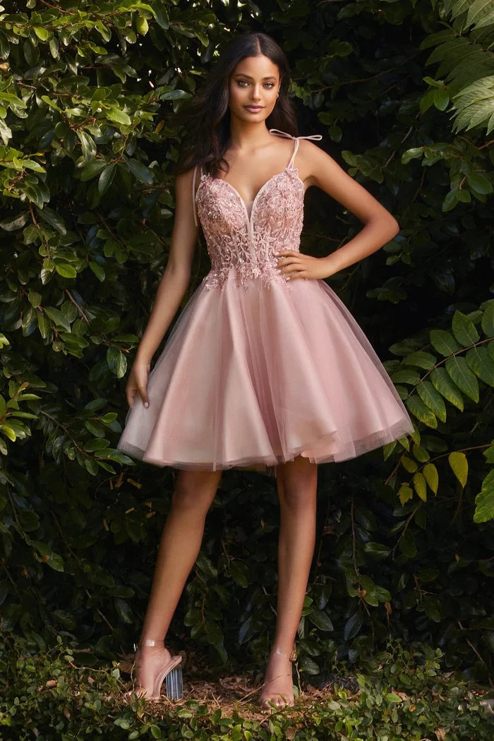 Dress CD0188