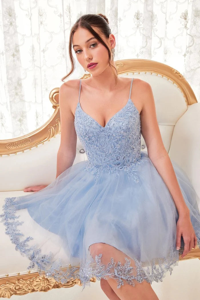 Dress CD0213