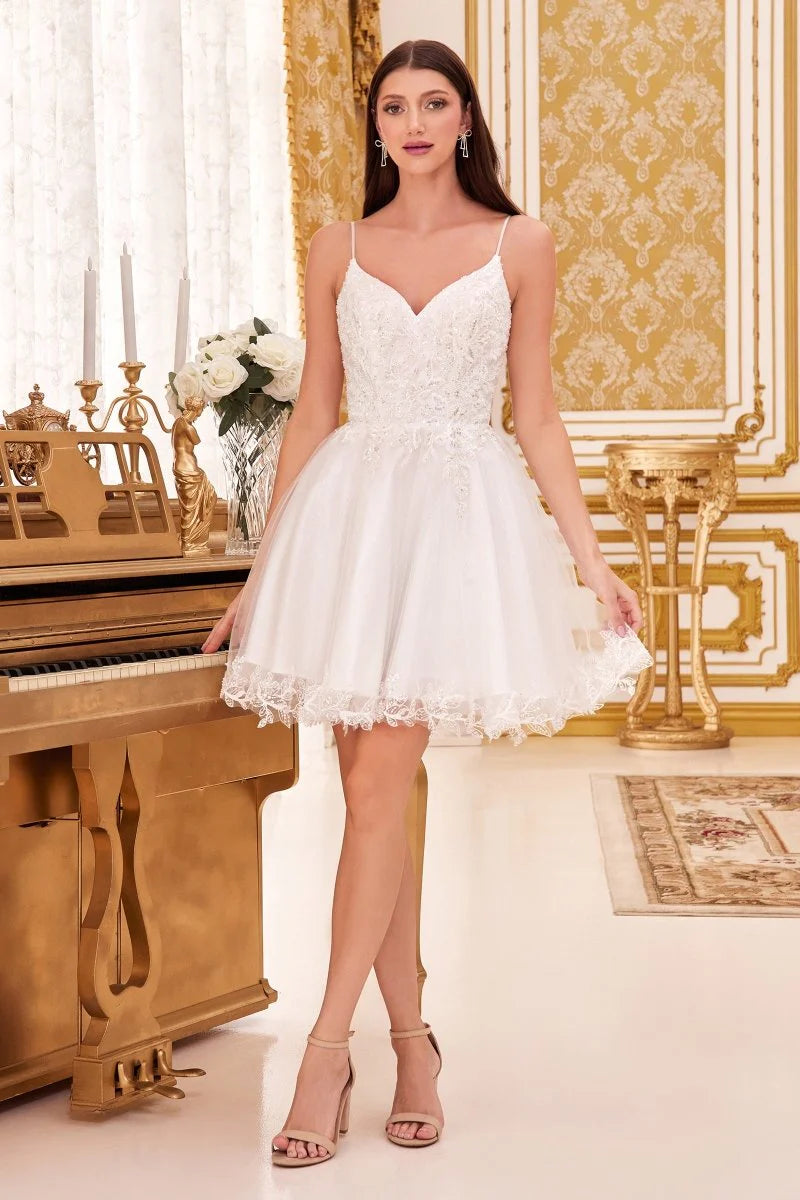 Dress CD0213