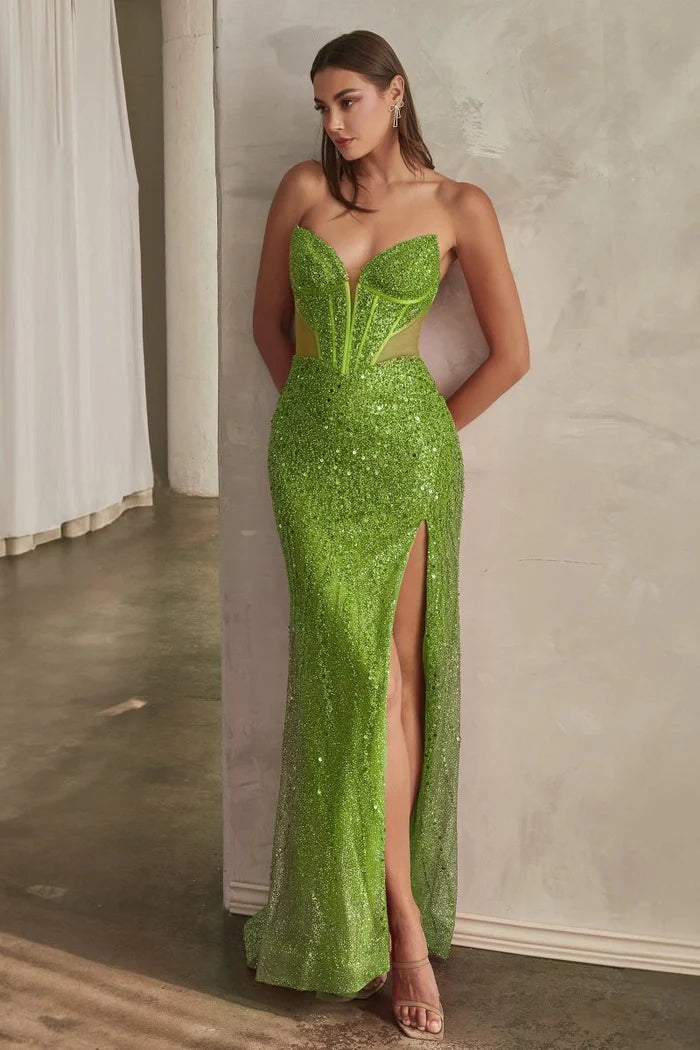 Dress CD0227