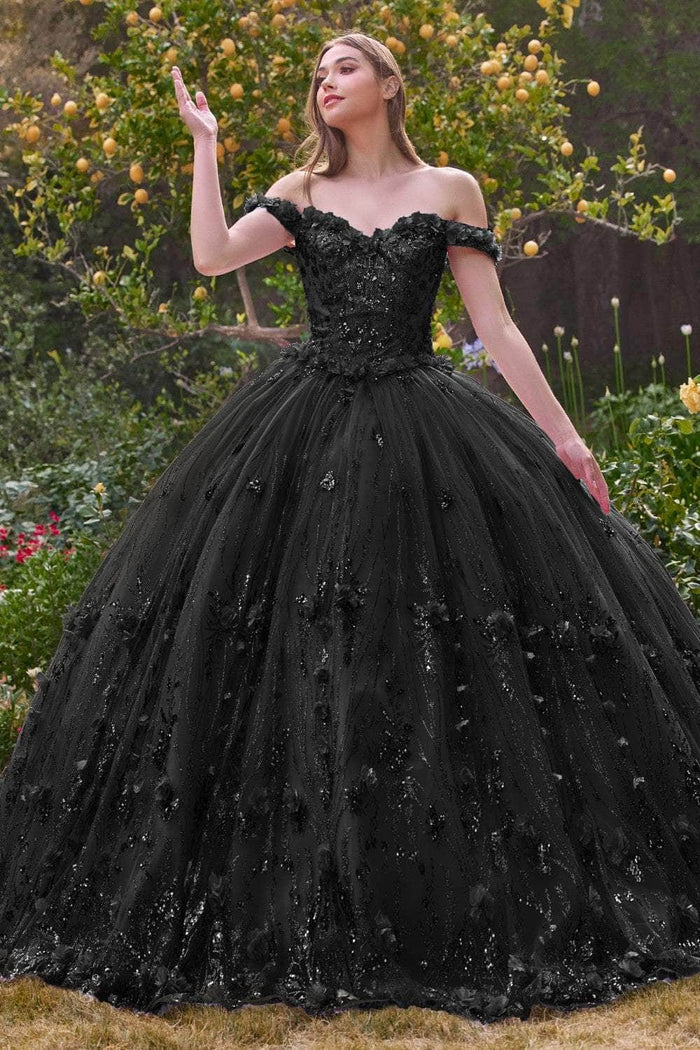 Dress 15704