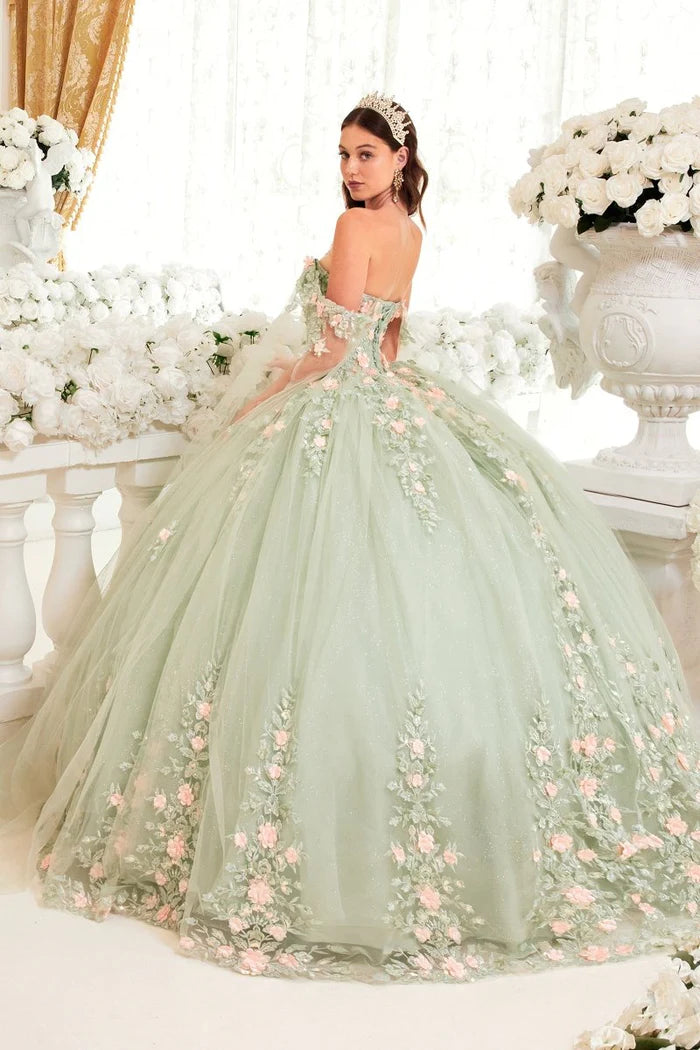 Dress 15716