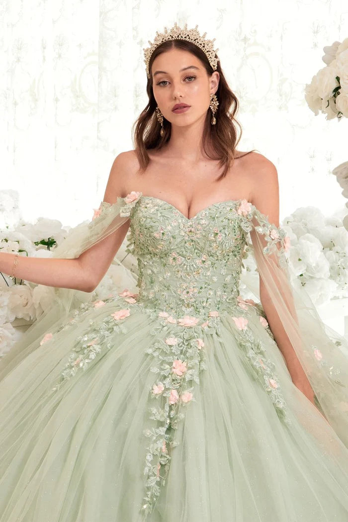 Dress 15716