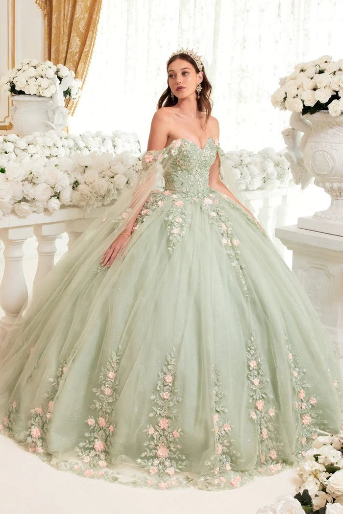 Dress 15716