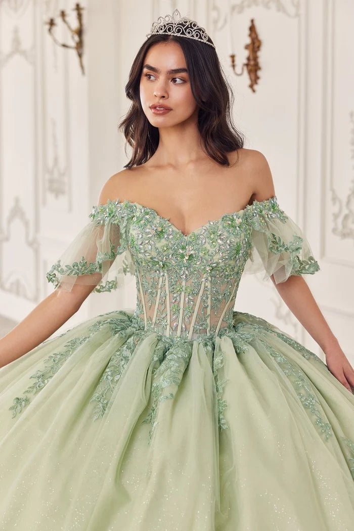 Dress 15725