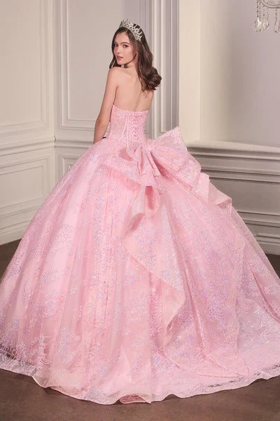Dress 15732