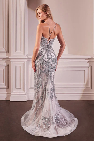 Dress CC0240