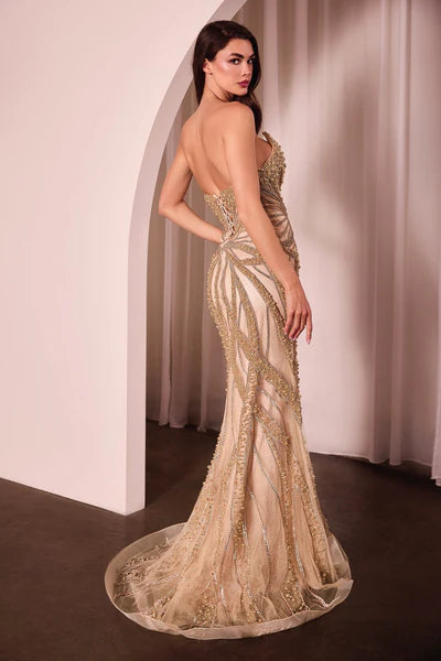 Dress CC0688
