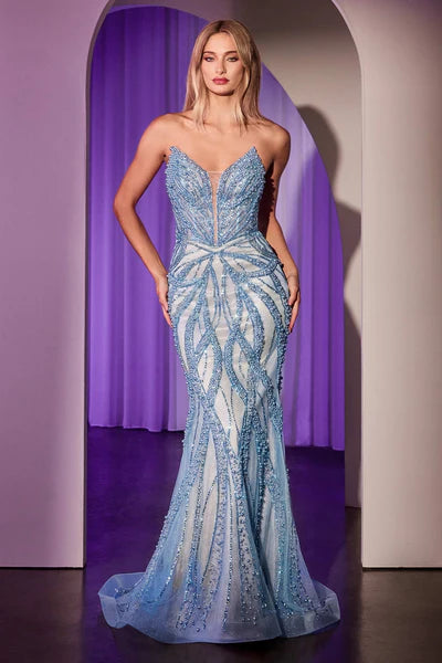 Dress CC0688
