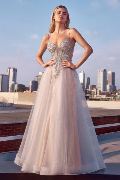 Dress CC0881