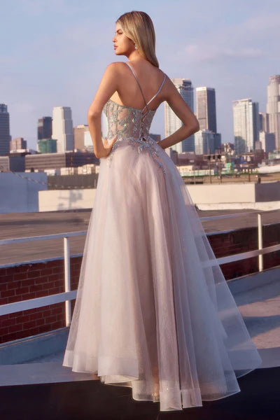 Dress CC0881
