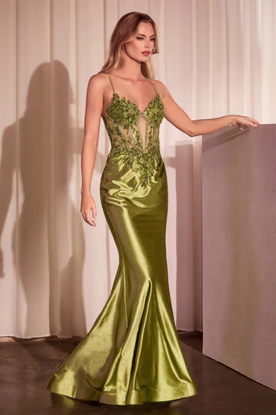 Dress CC2401