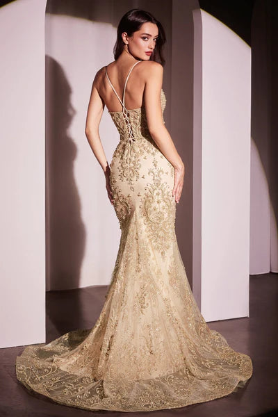 Dress CC2403