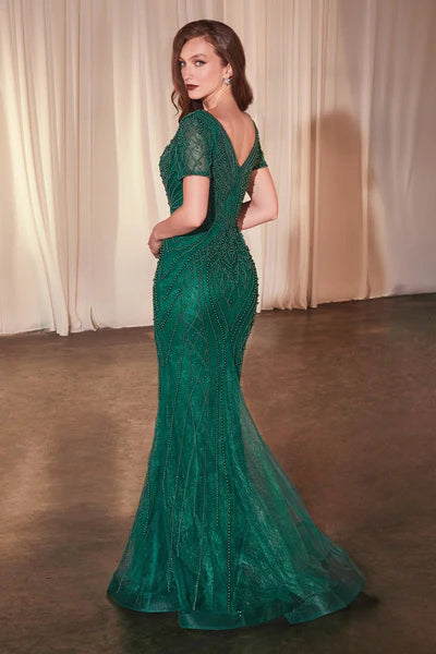 Dress CC4019