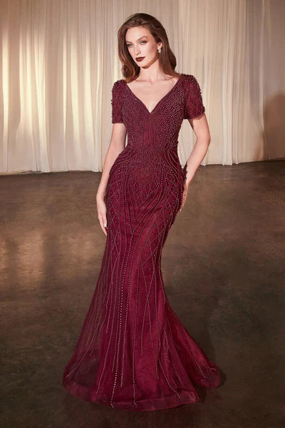 Dress CC4019