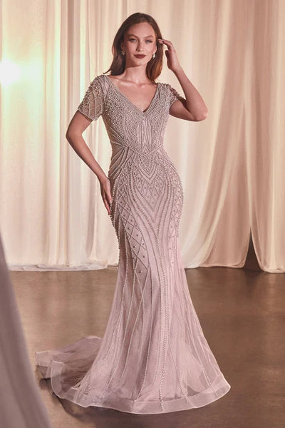 Dress CC4019