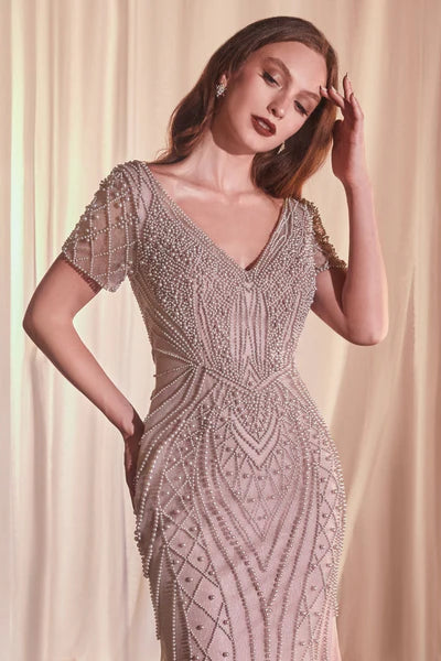 Dress CC4019
