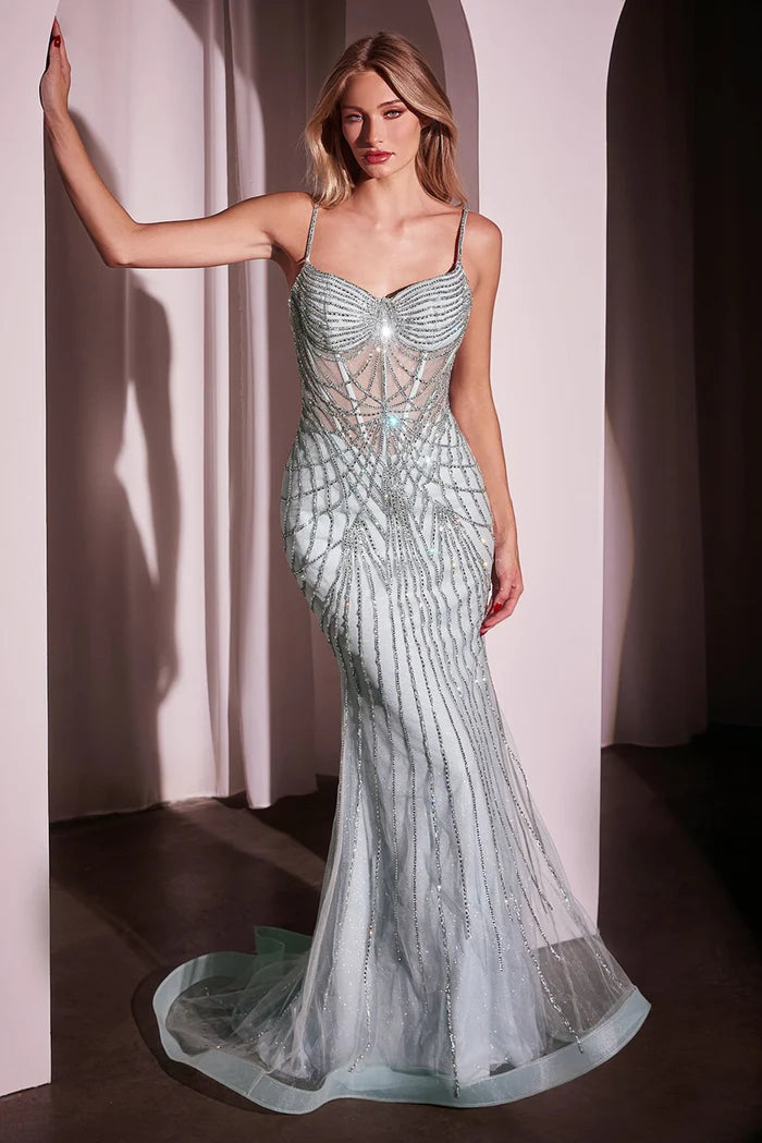 Dress CD766